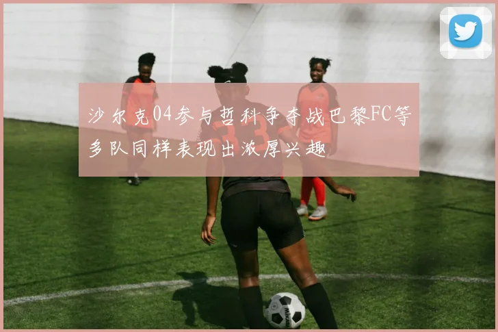沙尔克04参与哲科争夺战巴黎FC等多队同样表现出浓厚兴趣
