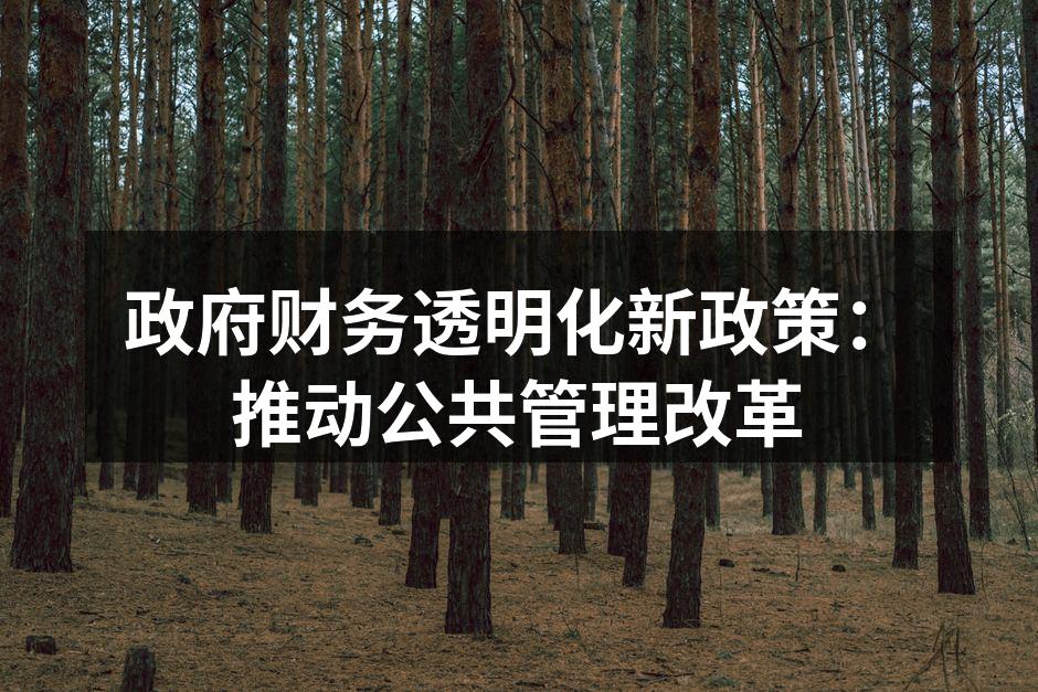 政府财务透明化新政策：推动公共管理改革