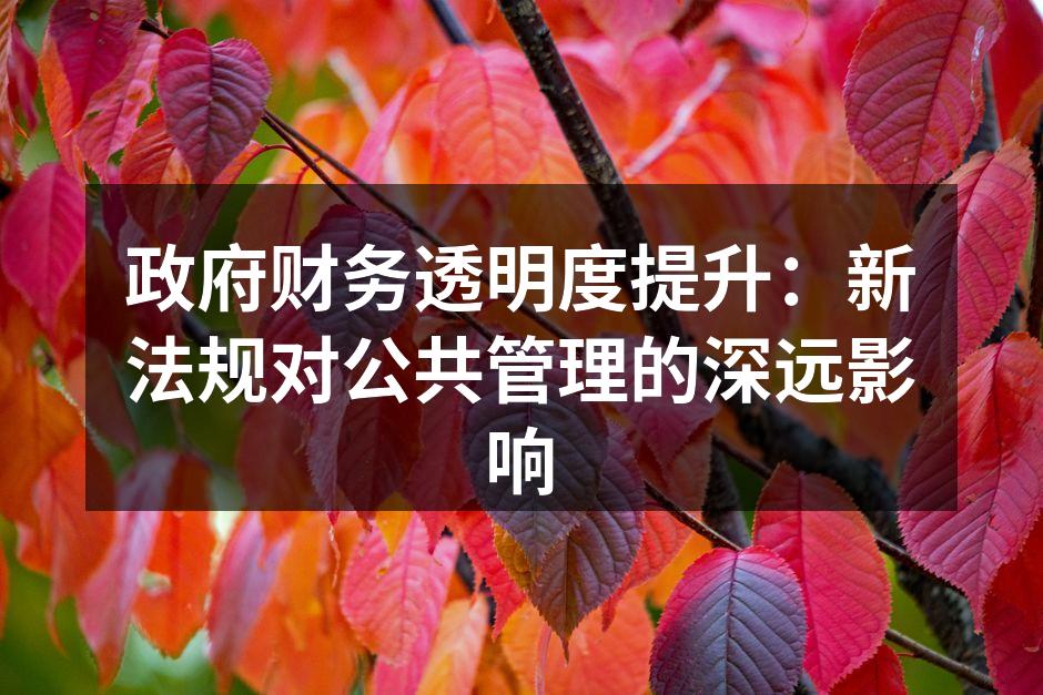 政府财务透明度提升：新法规对公共管理的深
