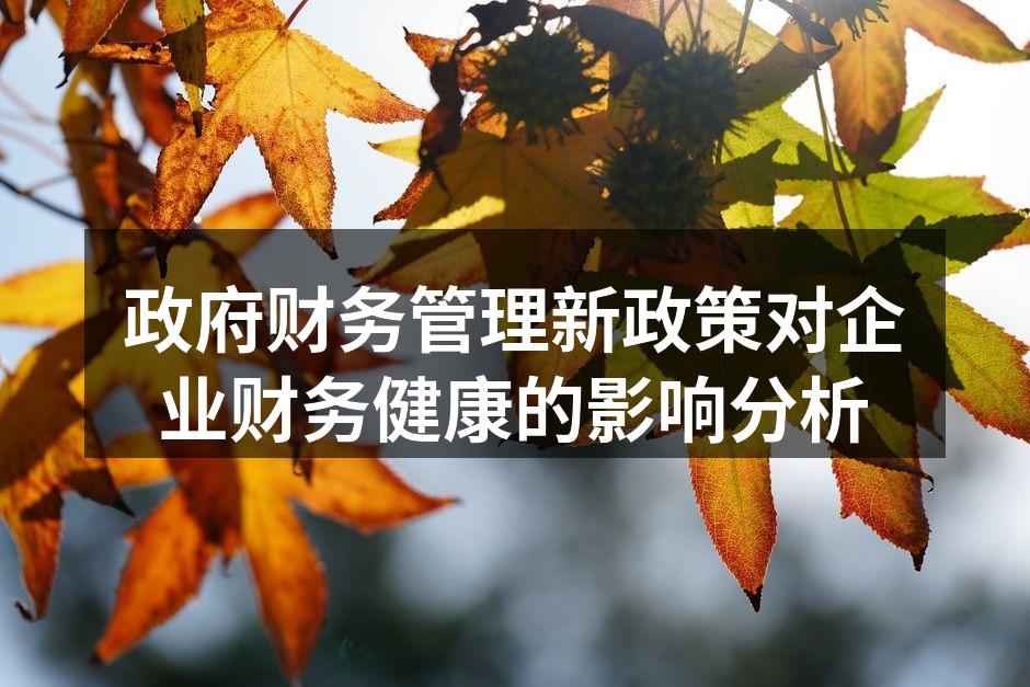 政府财务管理新政策对企业财务健康的影响分